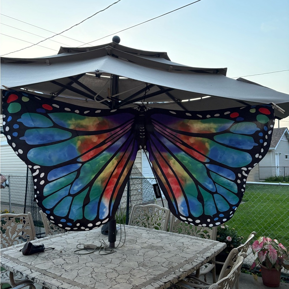 BUTTERFLY WINGS COSTUME | Full Wingspan | Halloween - Picture 8 of 11